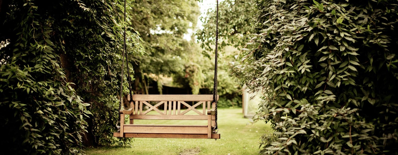 3 bijzondere voordelen van echt gras in jouw tuin