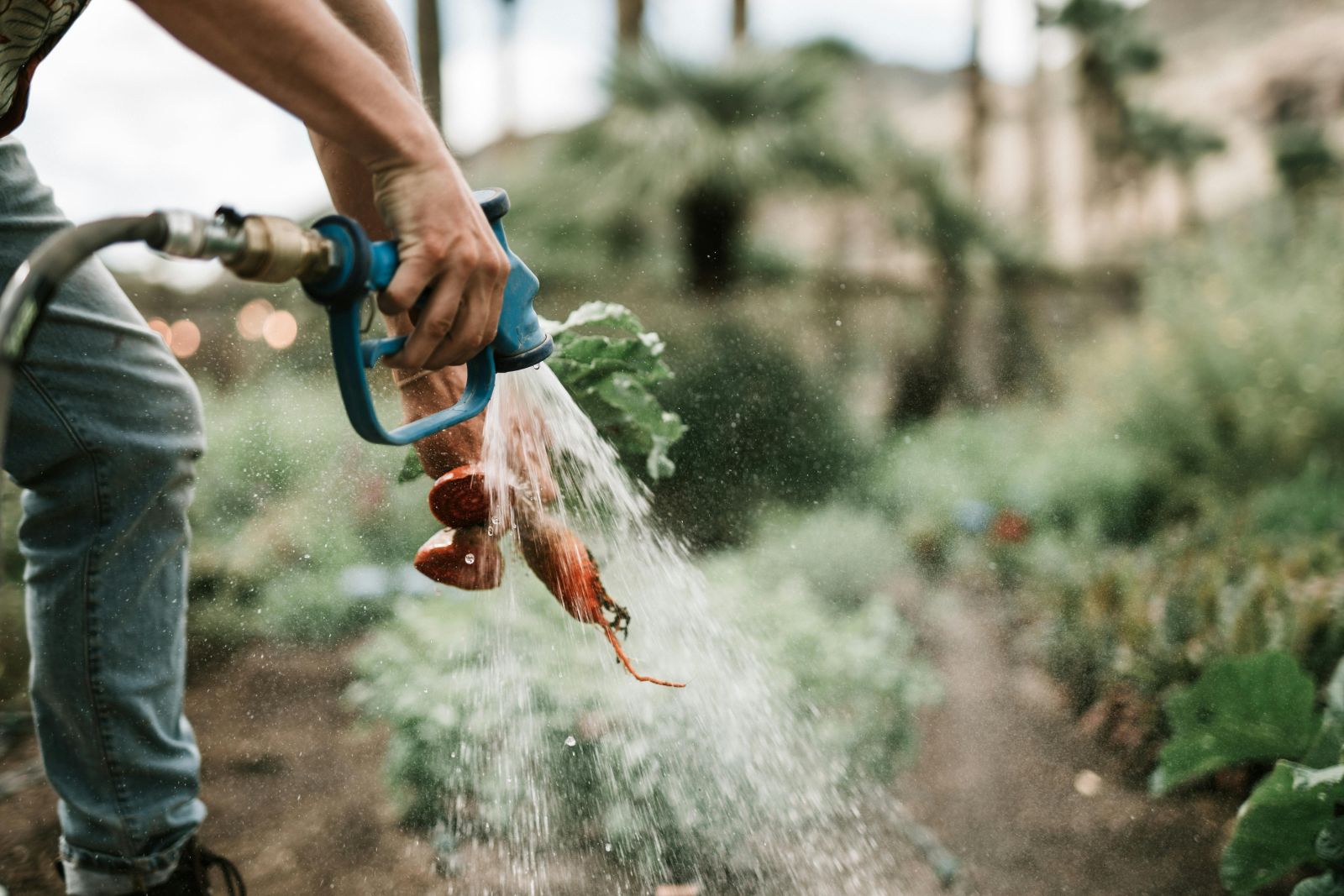 GoodGardn.nl | Waterput laten slaan