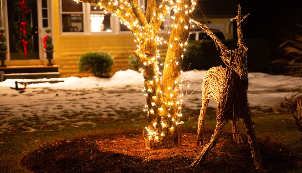 Tuinbeelden in kerstthema